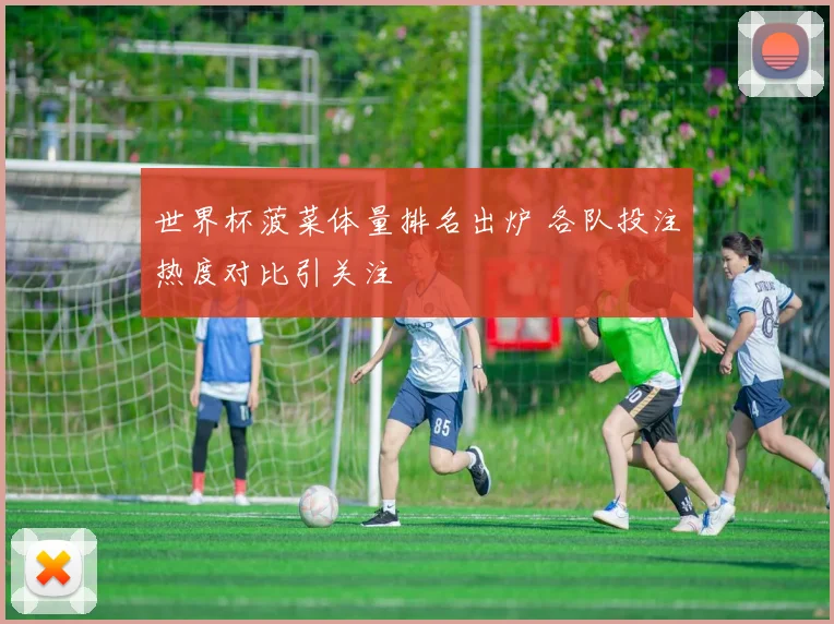 世界杯菠菜体量排名出炉 各队投注热度对比引关注